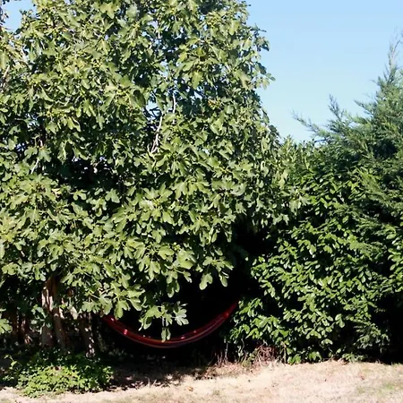 Aux Bois Flottes