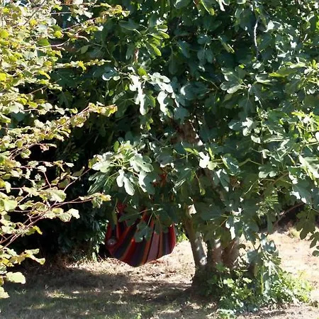 Aux Bois Flottes * Saint-Vincent-sur-Jard