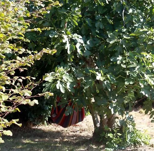 Aux Bois Flottes * Saint-Vincent-sur-Jard
